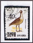 Stamps North Korea -  Pajoro