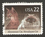 Stamps United States -  Gatos de Abisinia e Himalaya