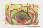 Stamps Luxembourg -  Flor