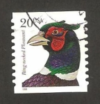 Stamps United States -  Faisán de cuello blanco