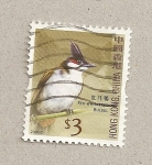 Stamps Asia - Hong Kong -  Ave Picnonotus jocosus