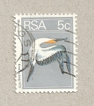 Stamps : Africa : South_Africa :  Ave Morus capensis
