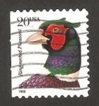 Stamps United States -  faisán de cuello blanco