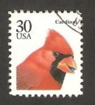Sellos de America - Estados Unidos -  fauna cardinal