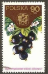 Stamps Poland -  2169 - XIX congreso horticola internacional, grosellas