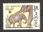 Stamps Poland -  zoo de varsovia, elefantes asiáticos