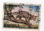 Sellos de Europa - España -  Gineta. Fauna