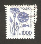 Stamps : Europe : Poland :  planta, aciano