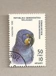 Stamps Madagascar -  Ave Anodorynchus hiacinthinus