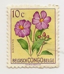 Stamps Democratic Republic of the Congo -  Flores (Dissotis magnifica)