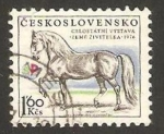 Sellos de Europa - Checoslovaquia -  2174 - Exposición agrícola nacional, un caballo