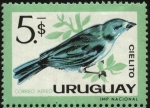 Sellos de America - Uruguay -  Aves autóctonas de Uruguay. Cielito.