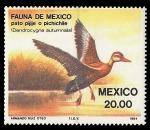 Sellos del Mundo : America : M�xico : Fauna de México - Pato Pijije Pichichile