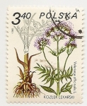 Stamps : Europe : Poland :  Plantas Medicinales