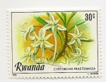 Sellos de Africa - Rwanda -  Las pla ntas y sus flores