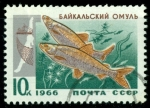 Stamps : Europe : Russia :  Peces