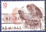 Stamps : Europe : Spain :  Edifil 2711 Perdiguero de Burgos 10 ÚLTIMO