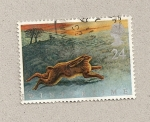 Stamps United Kingdom -  Invierno, liebre