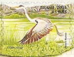 Stamps : America : Brazil :  Serie Pantanal - Ardea cocol