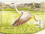 Sellos del Mundo : America : Brasil : Serie Pantanal - Ardea cocol