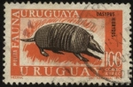 Stamps Uruguay -  Fauna uruguaya. La mulita. Dasypus hibrydus. 