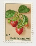 Stamps San Marino -  Futas