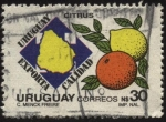 Sellos de America - Uruguay -  Naranja y limón. Citrus. Uruguay exporta calidad.