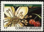 Stamps Uruguay -  Eugenia uniflora. Pitanga o ñangapiré.  Familia Myrtaceae.