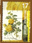 Stamps Europe - Belgium -  ROSA SULFUREA
