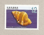 Stamps : Asia : Taiwan :  Conchas marinas de Taiwán