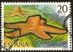 Sellos de Europa - Espaa -  Invertebrados - Estrella de mar