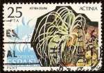 Stamps Spain -  Invertebrados - Actinia