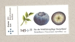 Stamps Germany -  Arándanos