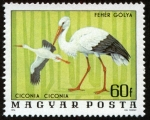 Stamps Hungary -  HUNGRIA - Parque Nacional del Hortobág