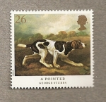 Stamps United Kingdom -  Perros distinguidos