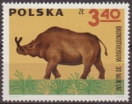 Sellos de Europa - Polonia -  Polonia 1966 Scott 1401 Sello Nuevo Fauna Dinosaurios Vertebrados Prehistoricos Brontotherium Polska