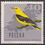 Stamps Europe - Poland -  Polonia 1966 Scott 1452 Sello Nuevo Fauna Pajaros Aves Polska Poland Polen Pologne 