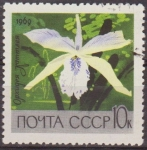 Sellos del Mundo : Europa : Rusia : Rusia URSS 1969 Scott 3598 Sello Flora Flor Orquidea Gattleya Usado Russia 