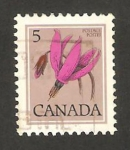Stamps : America : Canada :  flor, gyroselle de henderson