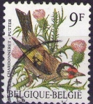 Stamps Belgium -  