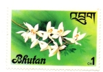 Stamps : Asia : Bhutan :  