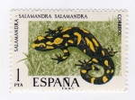 Stamps Spain -  Salamandra