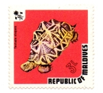 Stamps : Asia : Maldives :  REPUBLICA DE MALDIVES