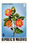 Stamps : Asia : Maldives :  REPUBLICA DE MALDIVES
