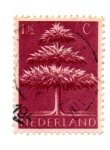 Stamps Netherlands -  ARBOLES
