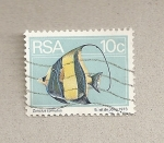 Stamps Africa - South Africa -  Pez Zanclus cornutus