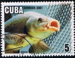 Stamps Cuba -  Tinca Tinca