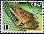 Stamps Cuba -  Rana Temporaria