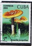 Stamps Cuba -  Amanita junquillea