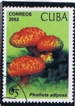 Stamps Cuba -  Pholliota adiposa